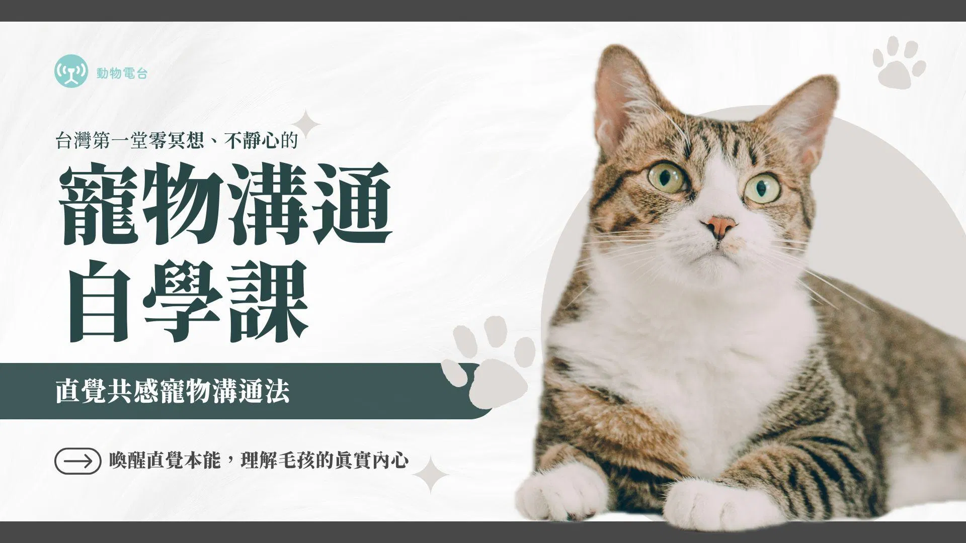 寵物溝通自學課｜直覺共感寵物溝通法