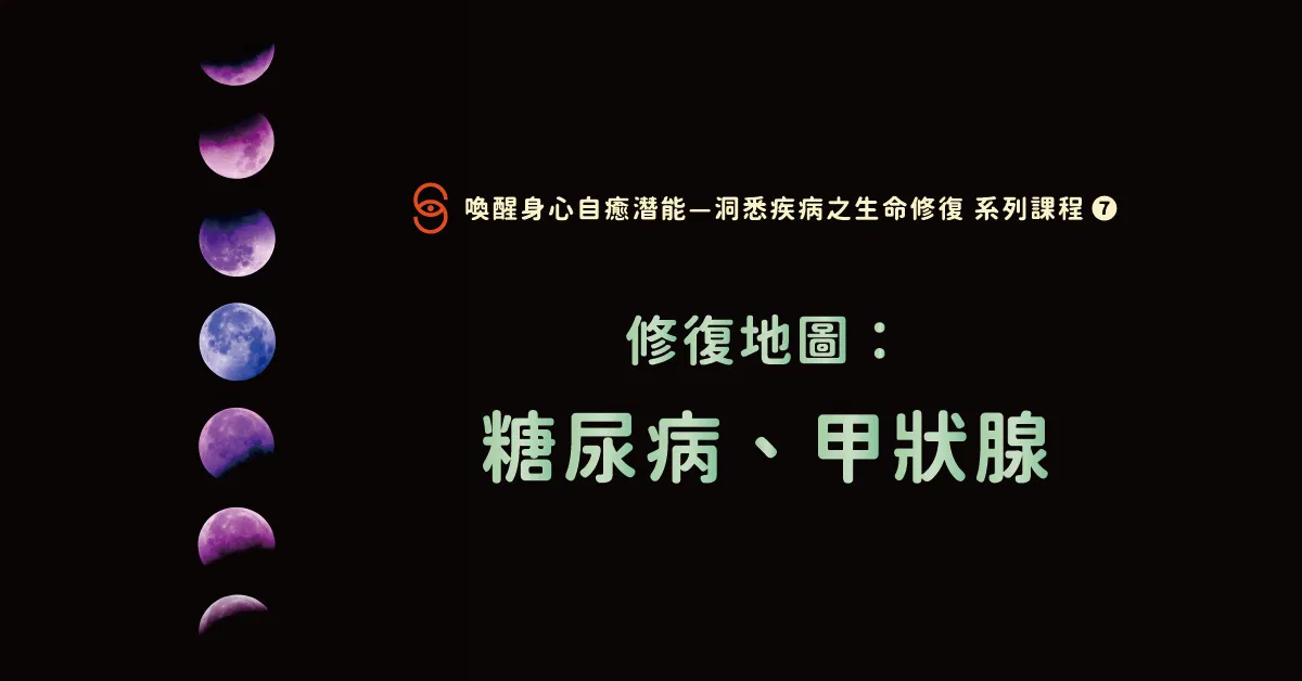 修復07 修復地圖：糖尿病、甲狀腺