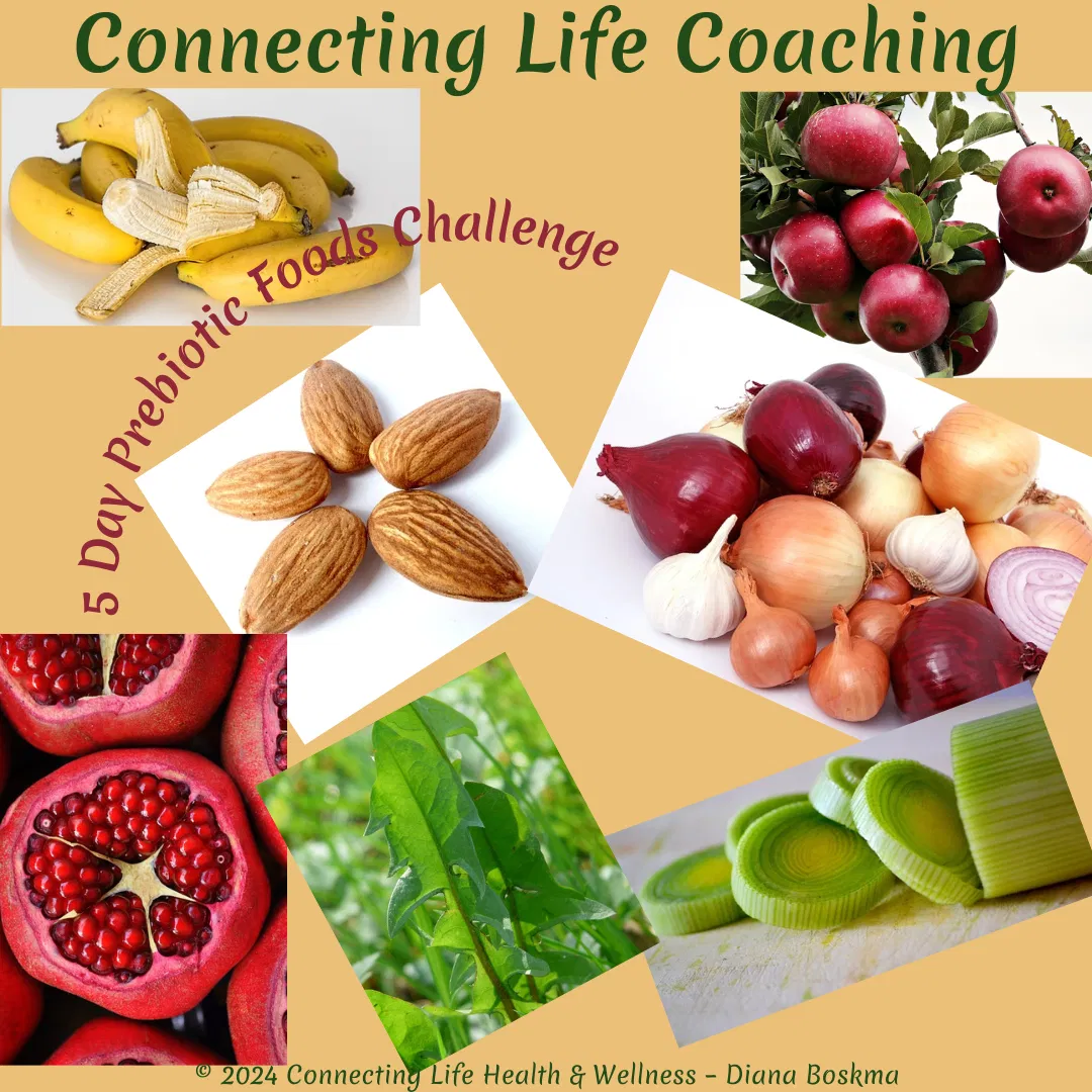 5 Day Prebiotic Foods Challenge