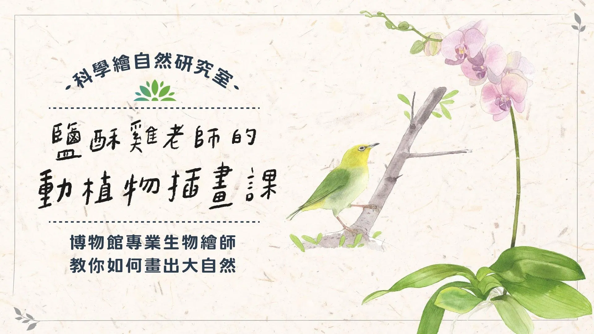 鹽酥雞老師的動植物插畫課：博物館專業生物繪師，教你如何畫出大自然！