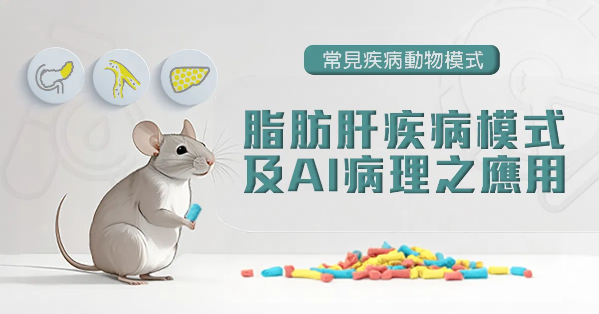 常見疾病動物模式-脂肪肝疾病模式及AI病理之應用