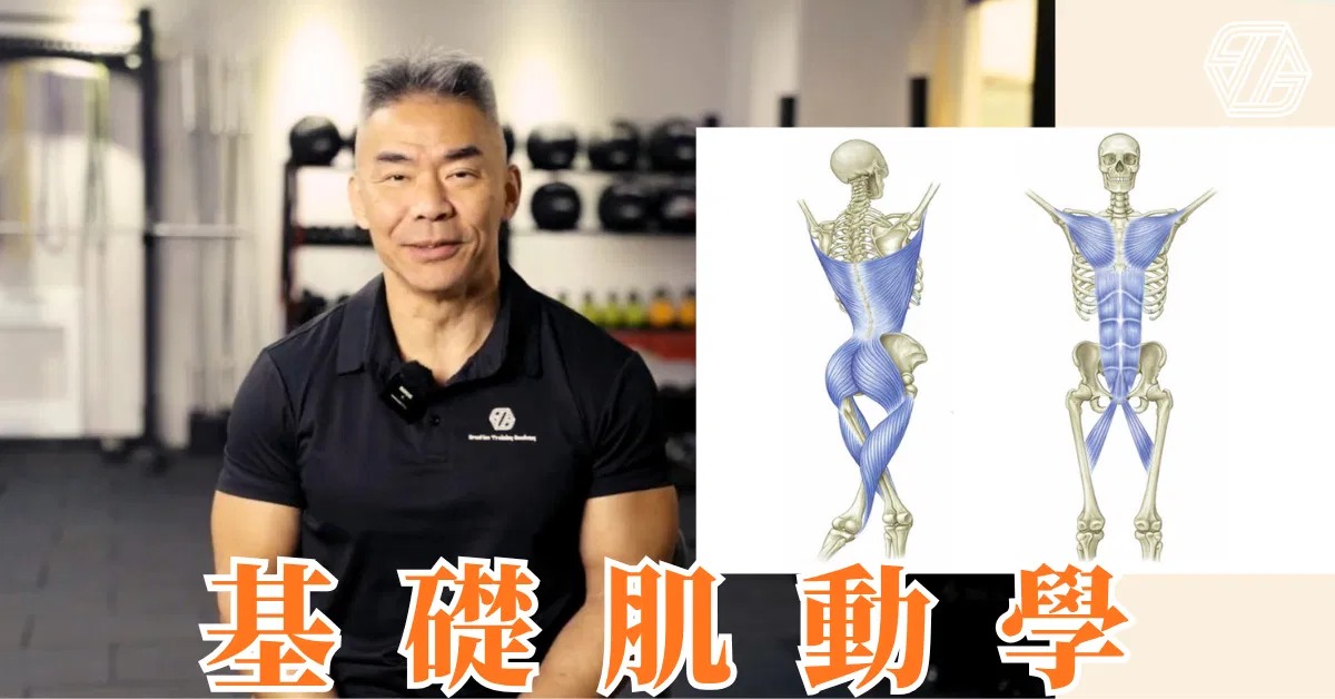 動立方基礎肌動學