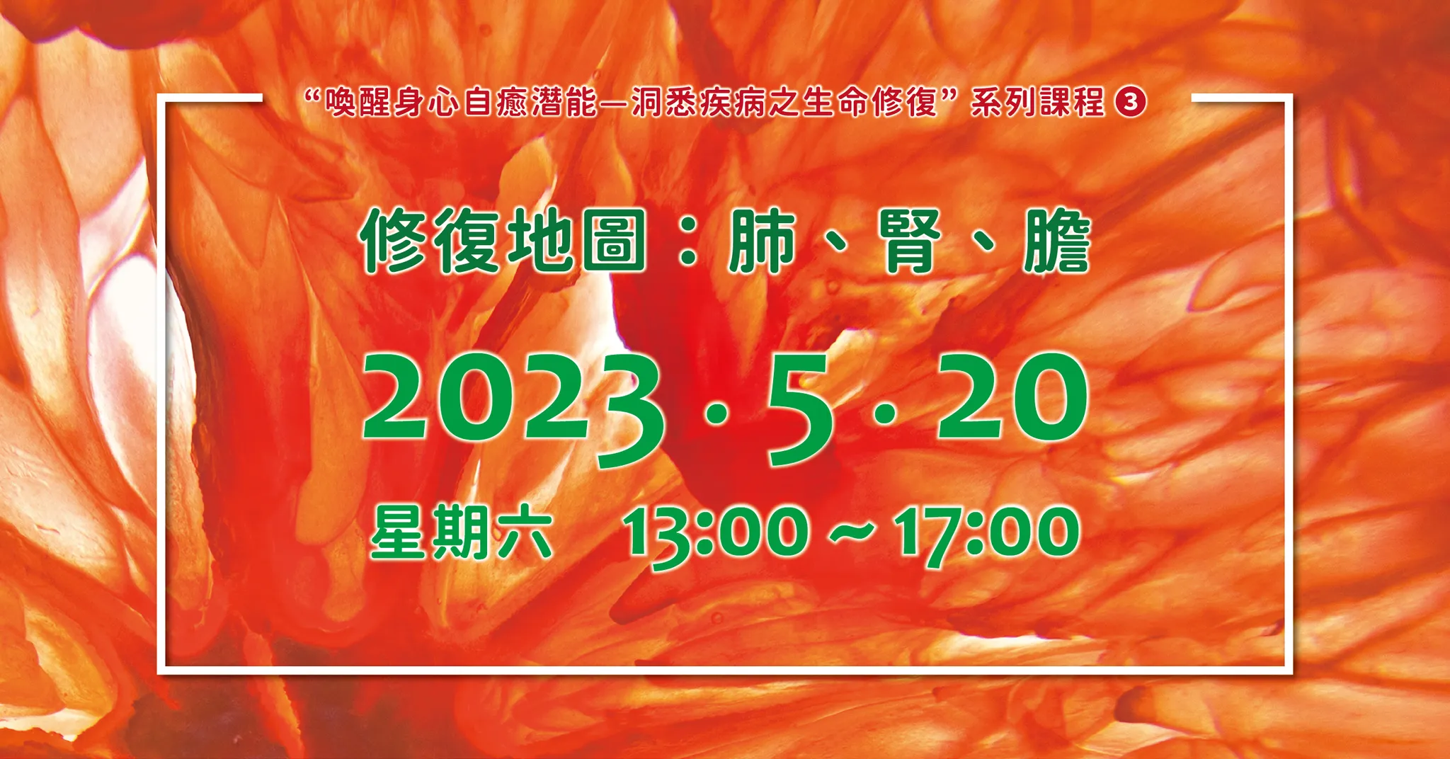 修復03 修復地圖:肺、腎、膽