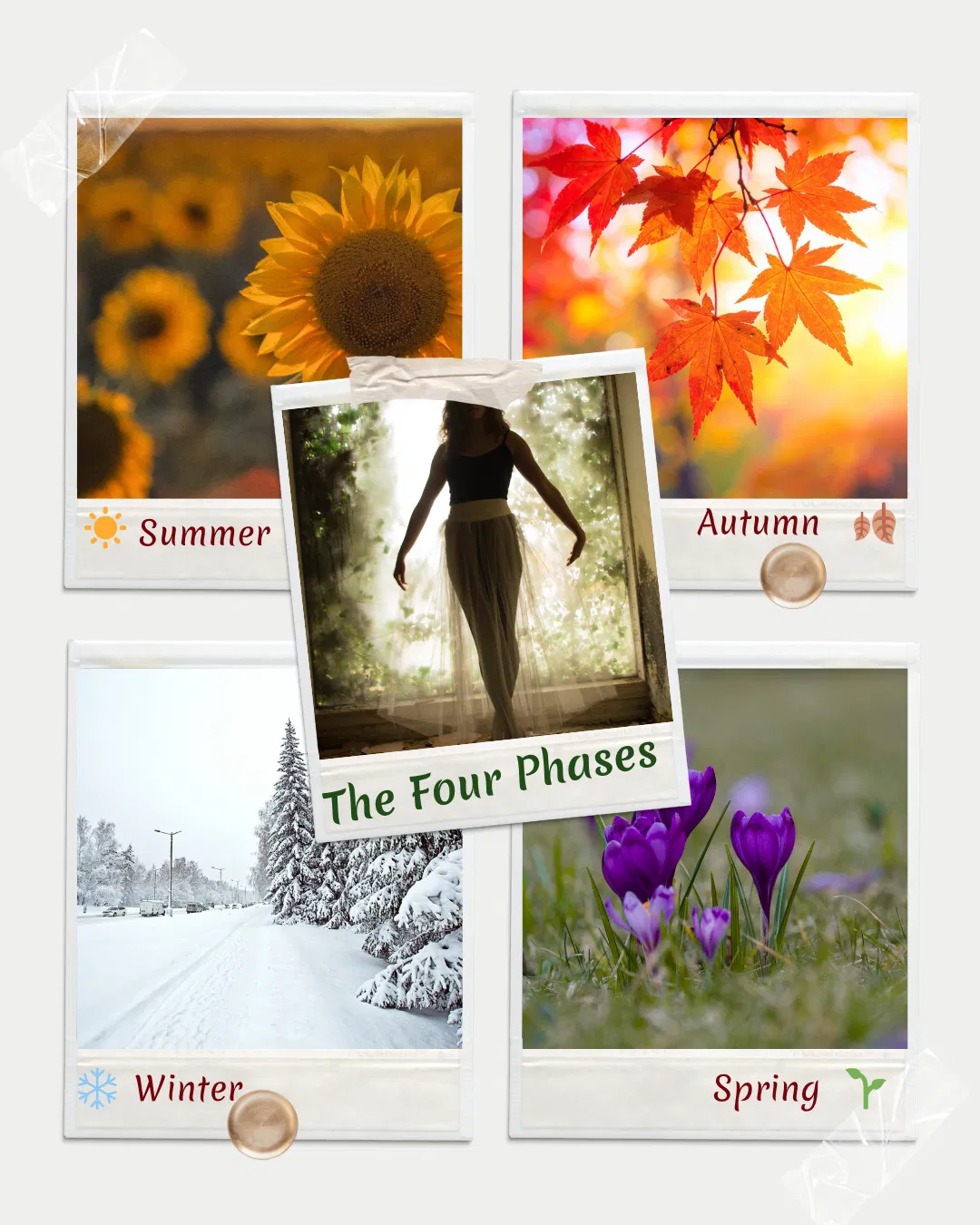 The Four Phases