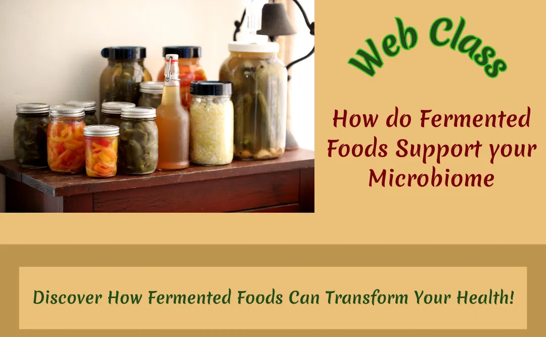 How do Fermented Foods Support Your Microbiome