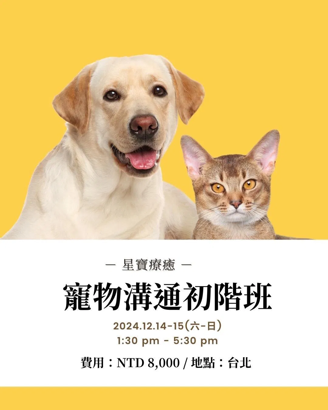 動物溝通初階＿實體小班2日課程