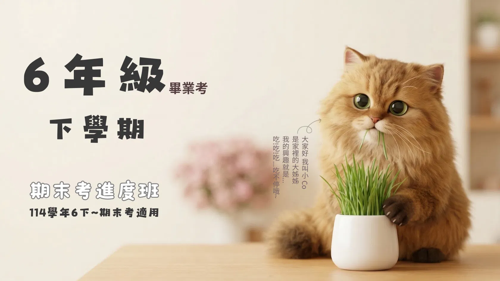 114年6下,共9周(畢業考)進度班(含小學總複習3週)-喵叫授國小數學