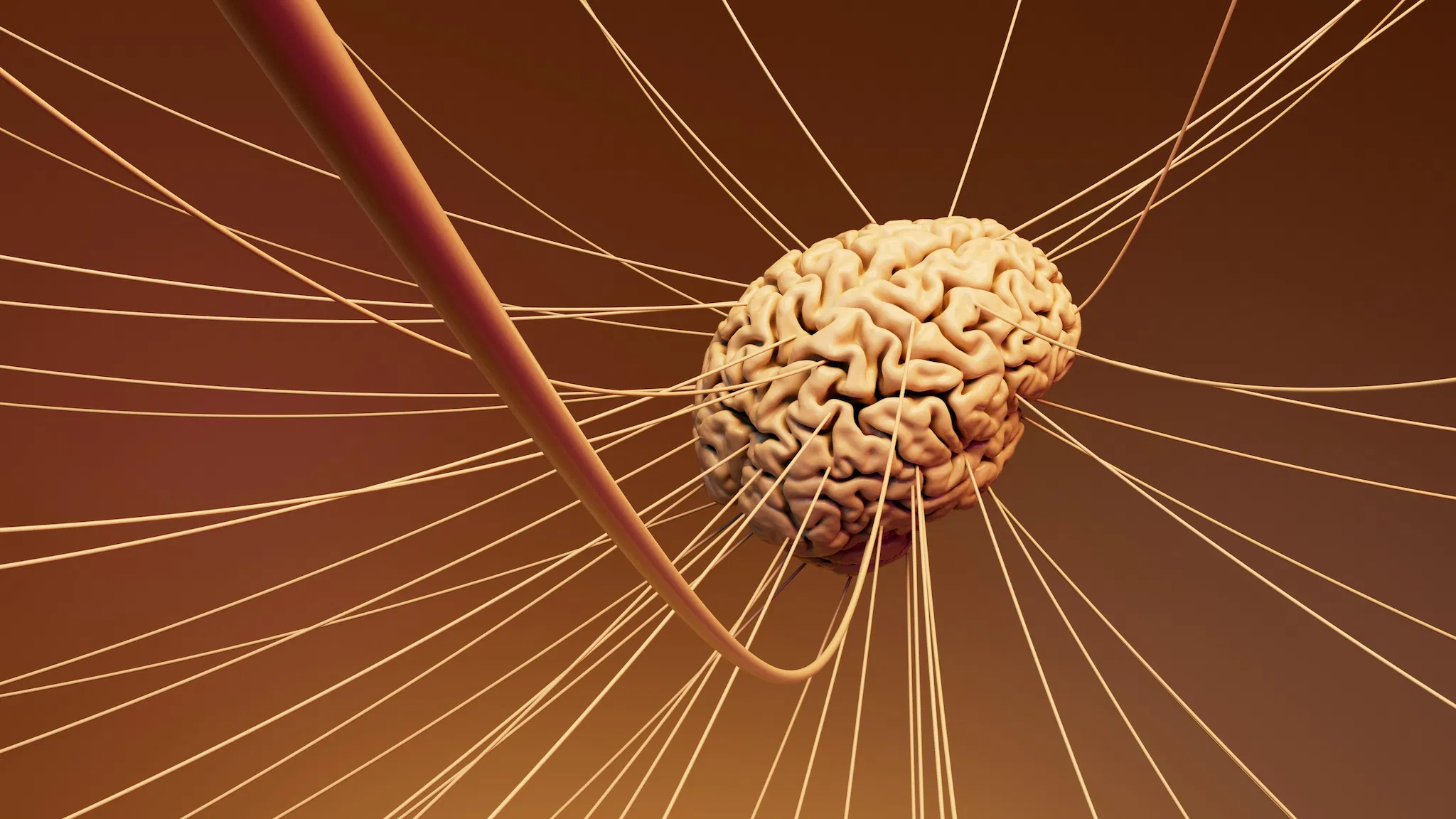 Emotional Intelligence Skills Training certification Diploma Course