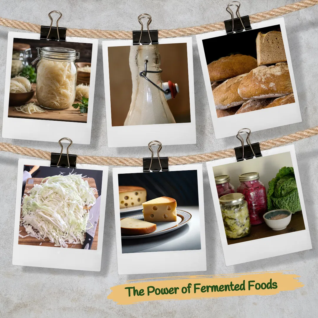 The Power of Fermented Foods