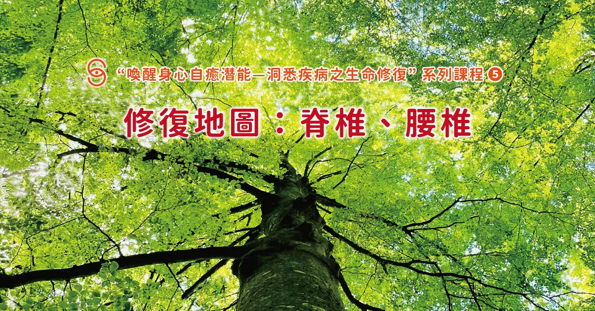 修復05 修復地圖：脊椎、腰椎