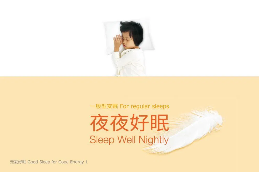 夜夜好眠：一般型安眠