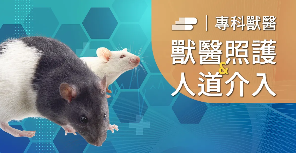 嚙齒類實驗動物之麻醉與疼痛管理