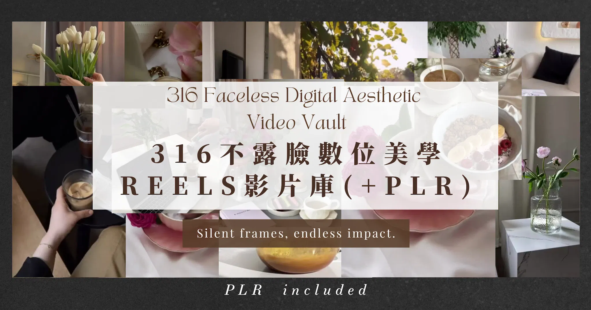 316 不露臉數位美學影片庫(附PLR)