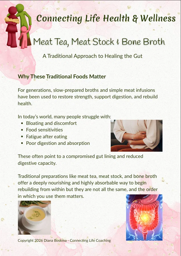 Meat Tea, Meat Stock & Bone Broth