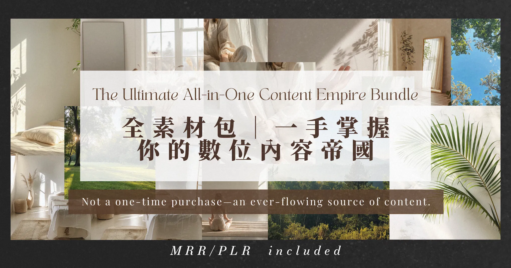 全素材包｜一次擁有你的數位內容帝國（附 MRR＋PLR 全授權）
