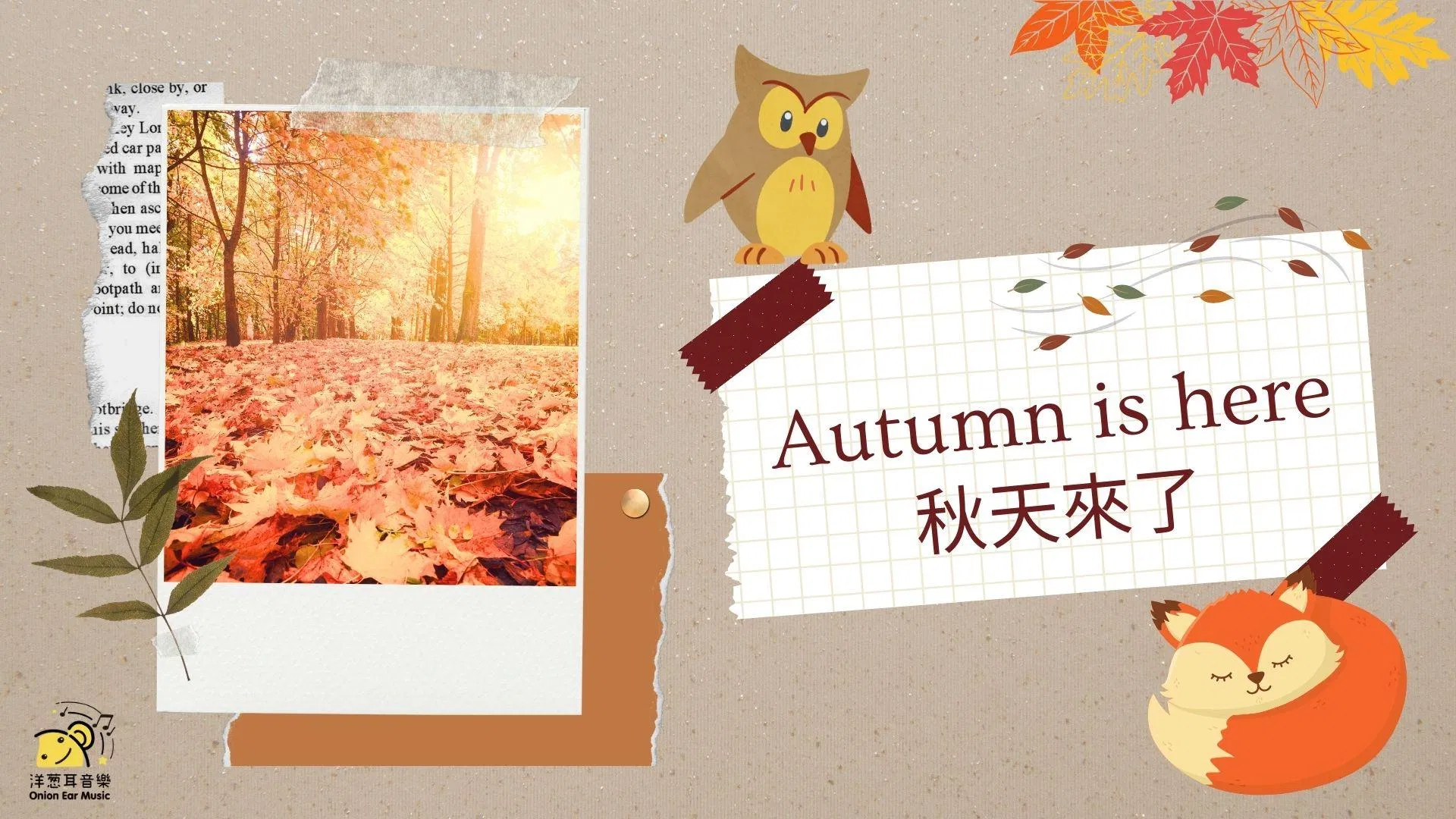 秋天雙語音樂教學提案 Music Teaching Resources About Autumn