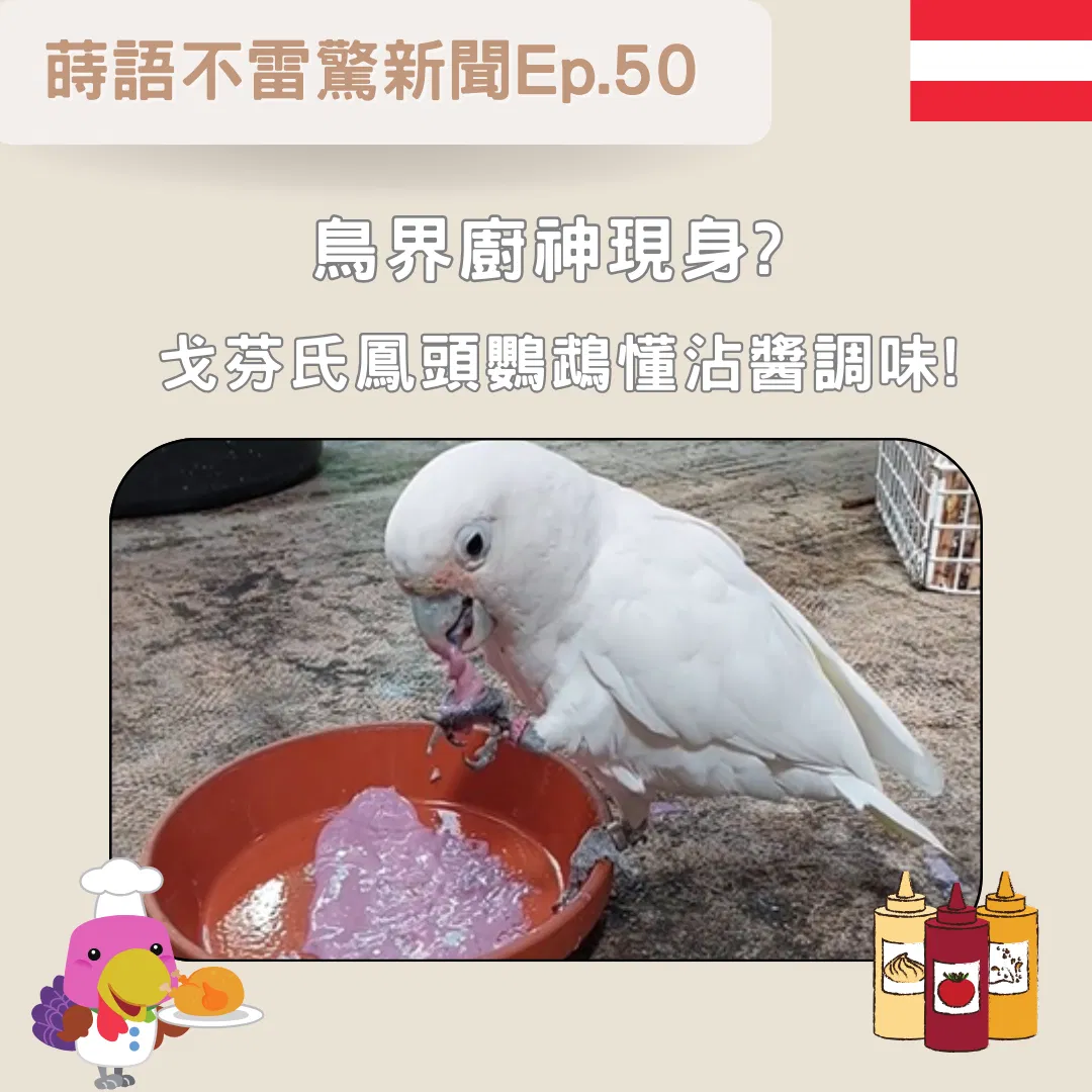 【Ep50】鳥界廚神現身? 戈芬氏鳳頭鸚鵡懂沾醬調味!