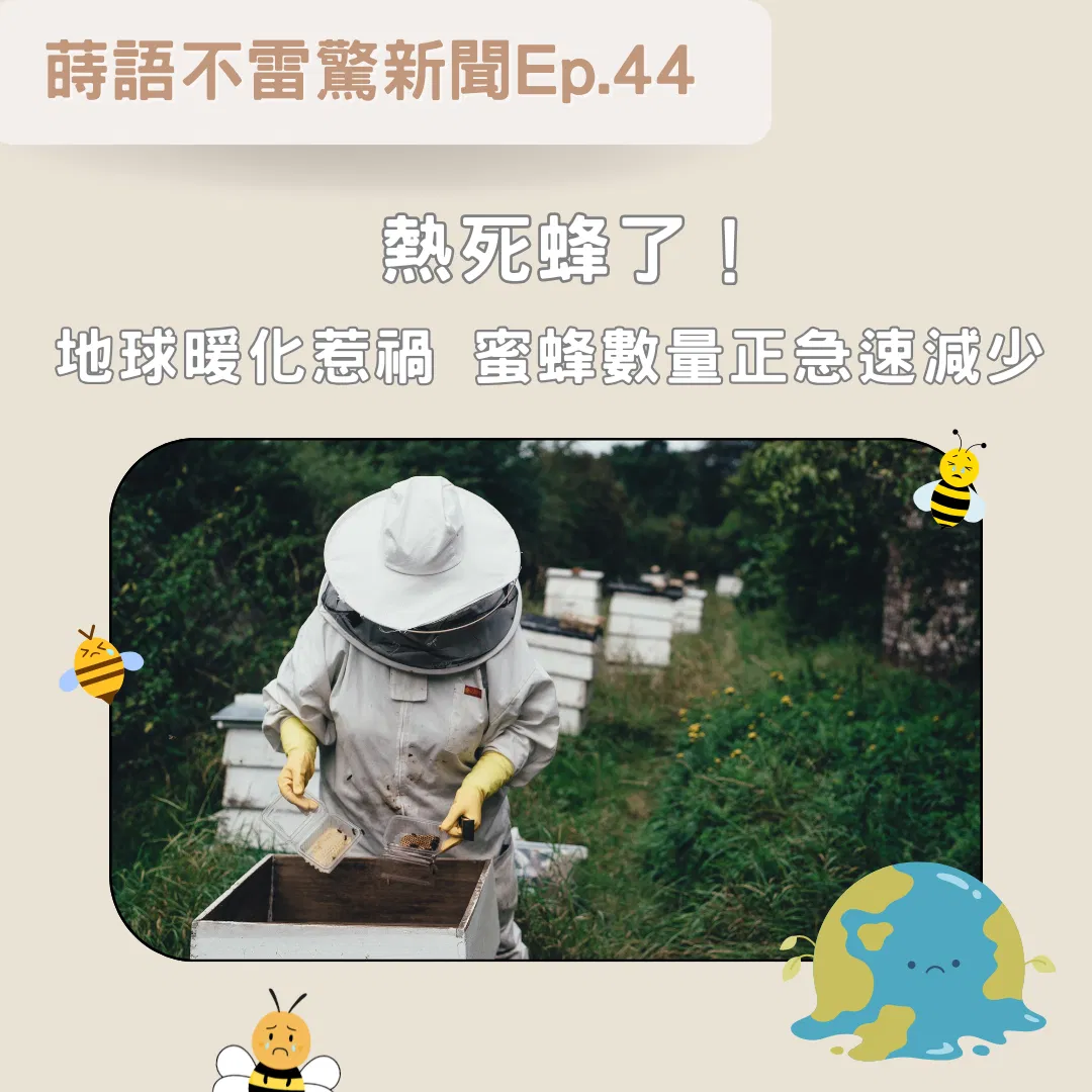 【Ep44】「熱死蜂了!」 地球暖化惹禍 蜜蜂數量正急速減少