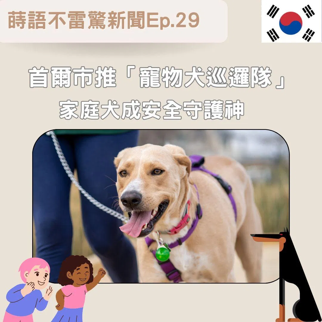 【Ep29】韓國推「寵物犬巡邏隊」家庭犬成社區安全守護神