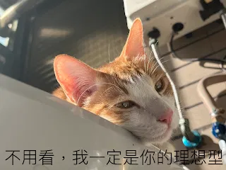 【同學都能連上線，而我什麼都沒有，真的很氣餒】