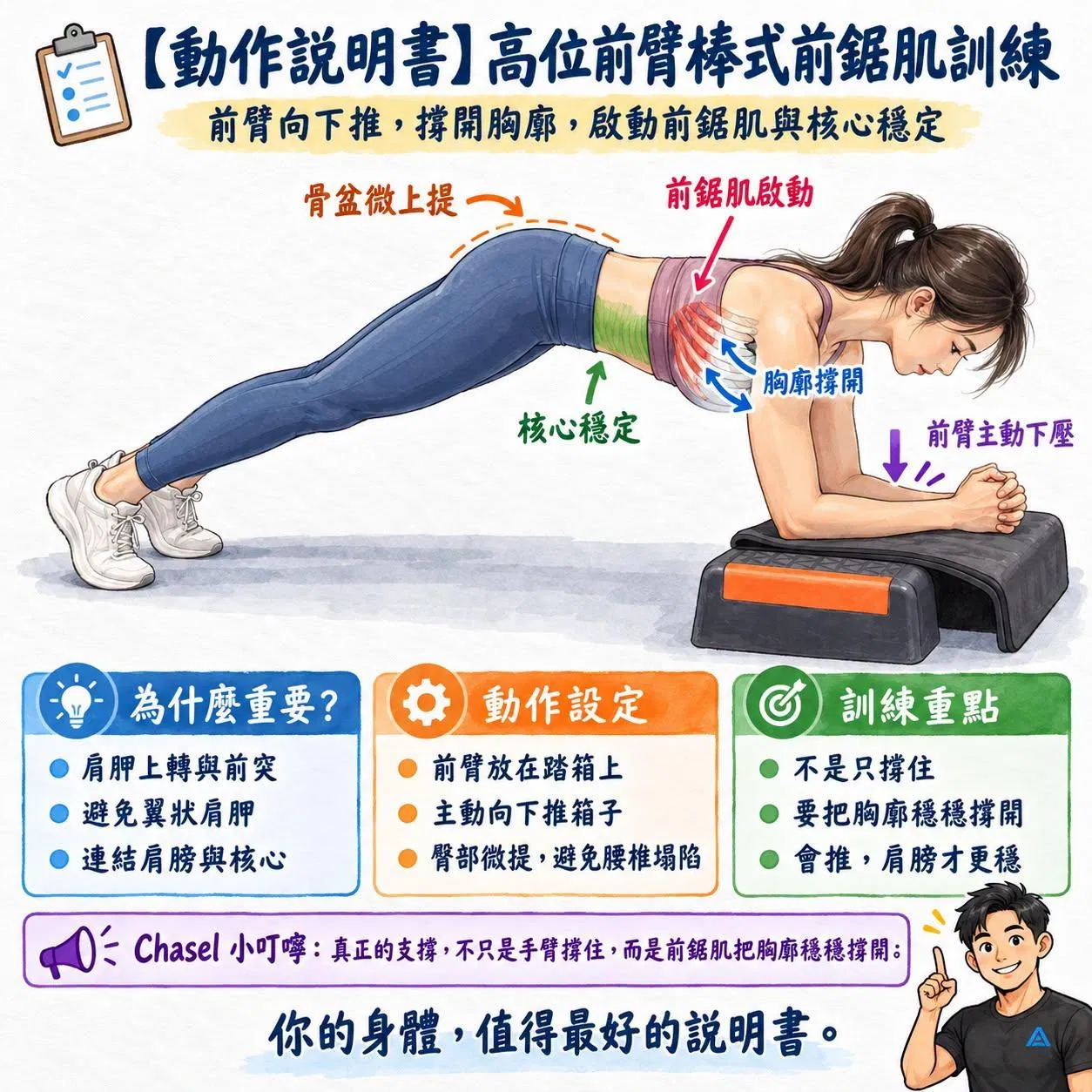 【動作說明書】高位前臂棒式前鋸肌訓練