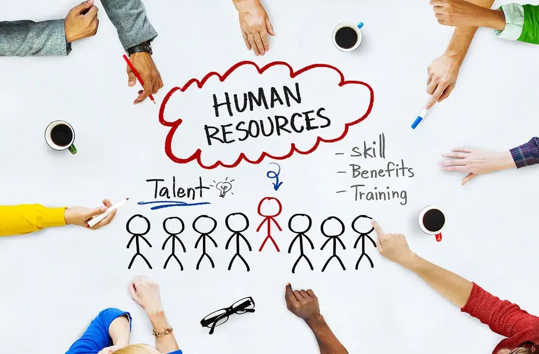 人力資源管理是什麼？HR人資必備的7大職能與4大特質
