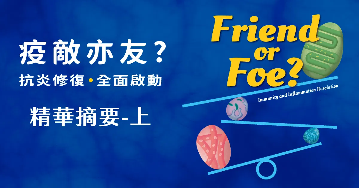 【疫敵亦友-抗炎修復全面啟動】精華摘要-上