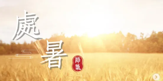 文化百寶箱#二十四節氣— 處暑
