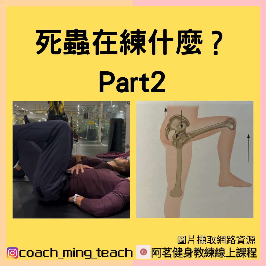 『死蟲在練什麼？Part 2』
