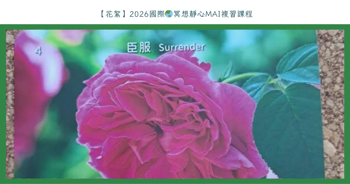 【花絮】2026國際🌏冥想靜心MAI複習課程