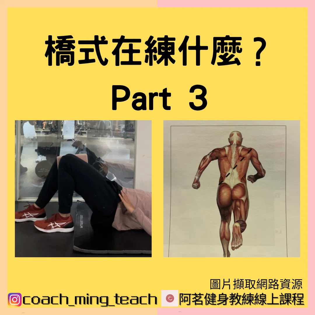 『橋式在練什麼？Part 3』