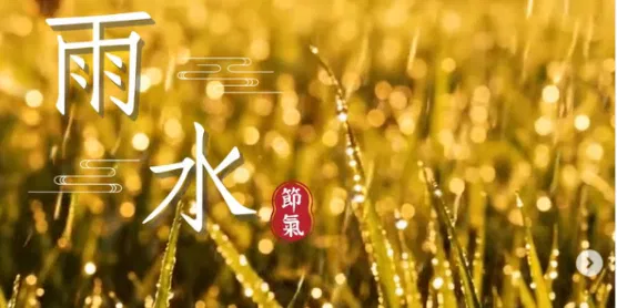 文化百寶箱#二十四節氣 #雨水