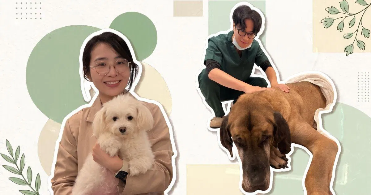 狗狗半夜一直喘，坐著打瞌睡卻不敢躺下？獸醫師教你辨識「急診警訊」與正確處置