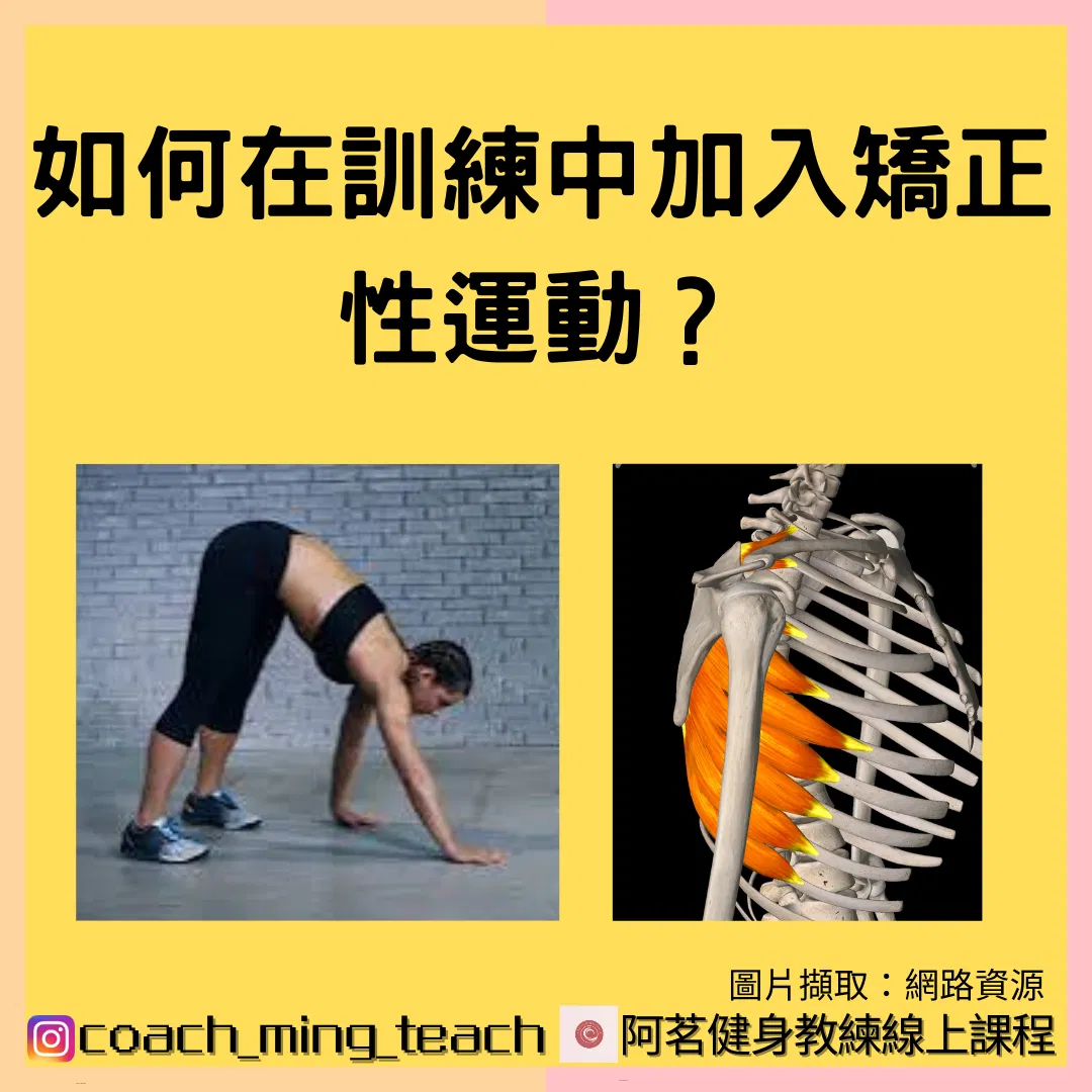 『如何在訓練中加入矯正性運動？』