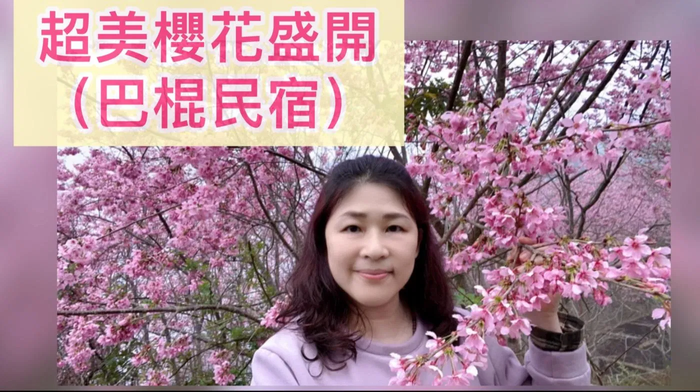 【超美櫻花盛開的營區/小木屋】Dale推薦