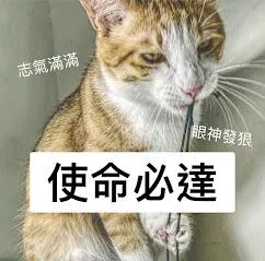 小編大拷問之【動物溝通師不會告訴你的臉紅心跳】
