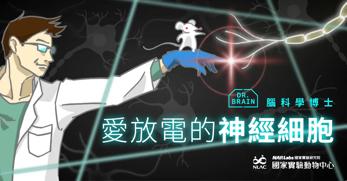 愛放電的神經細胞