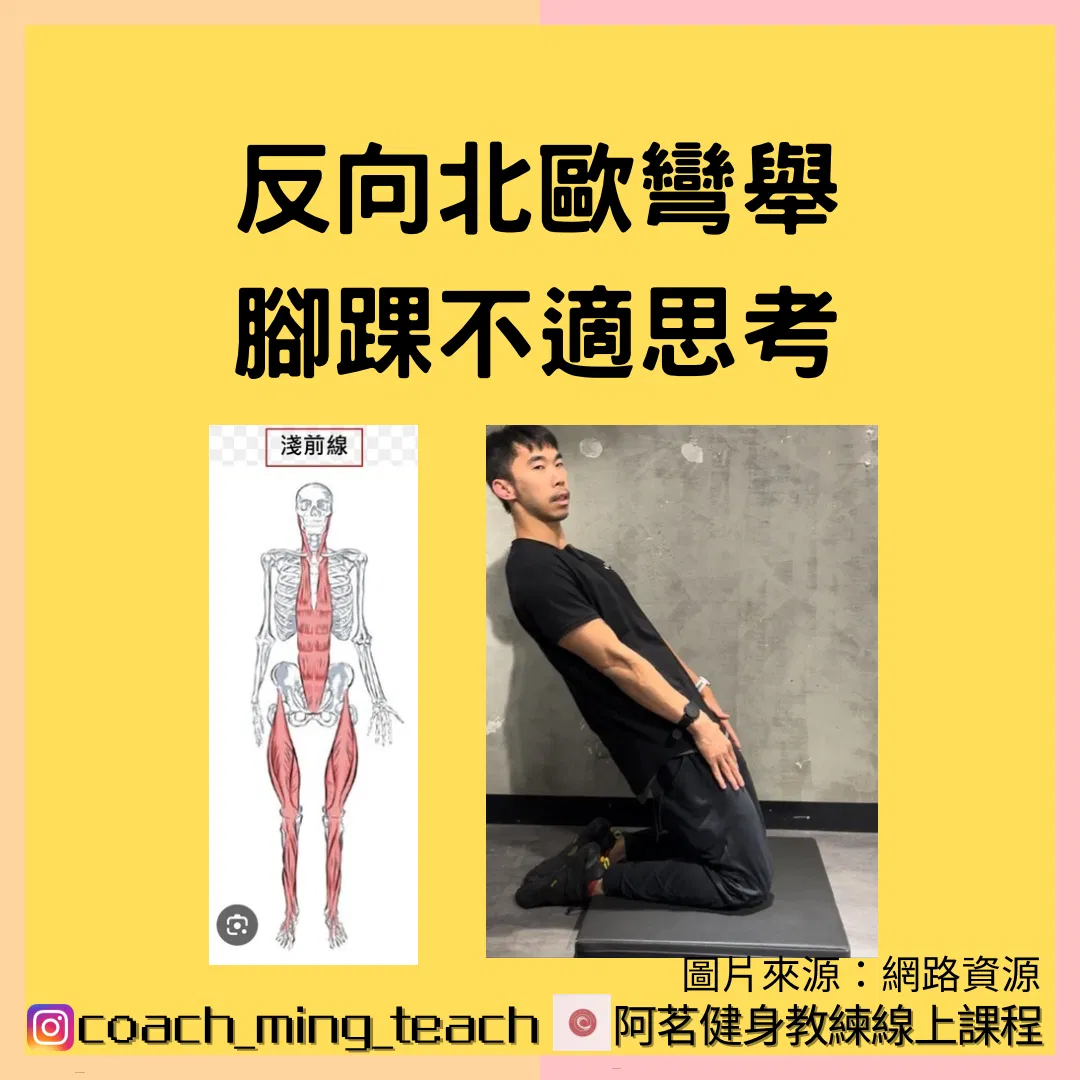 『反向北歐彎舉，腳踝不適思考』