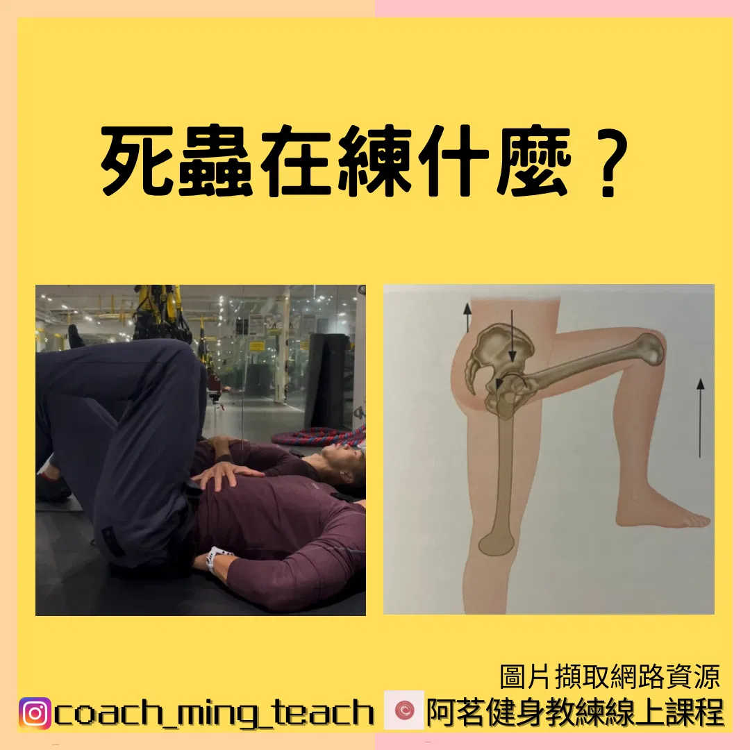『死蟲在練什麼？』