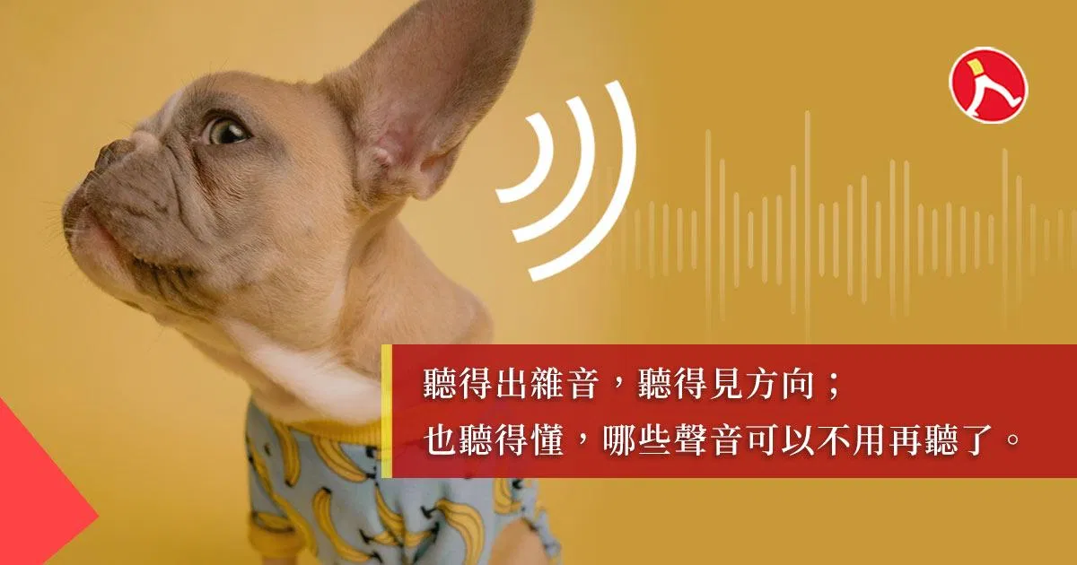 Happy New Ear:新的一年,先換一副耳朵