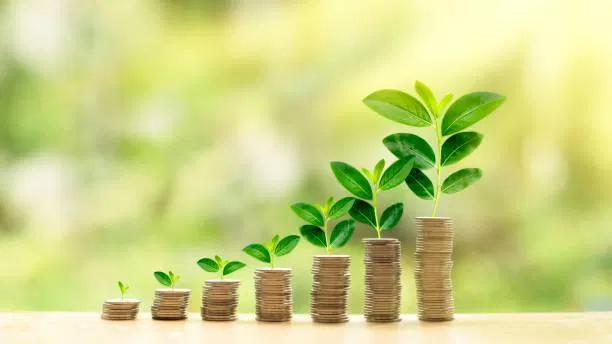 Le capitalisme vert : une révolution ou un simple coup de peinture ?