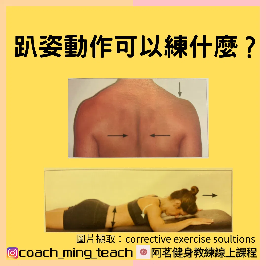 『趴姿動作可以練什麼？』