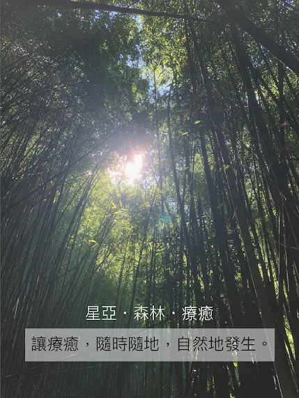 森林靈性療癒