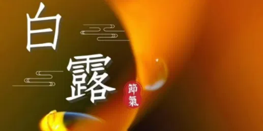 文化百寶箱#二十四節氣 — #白露