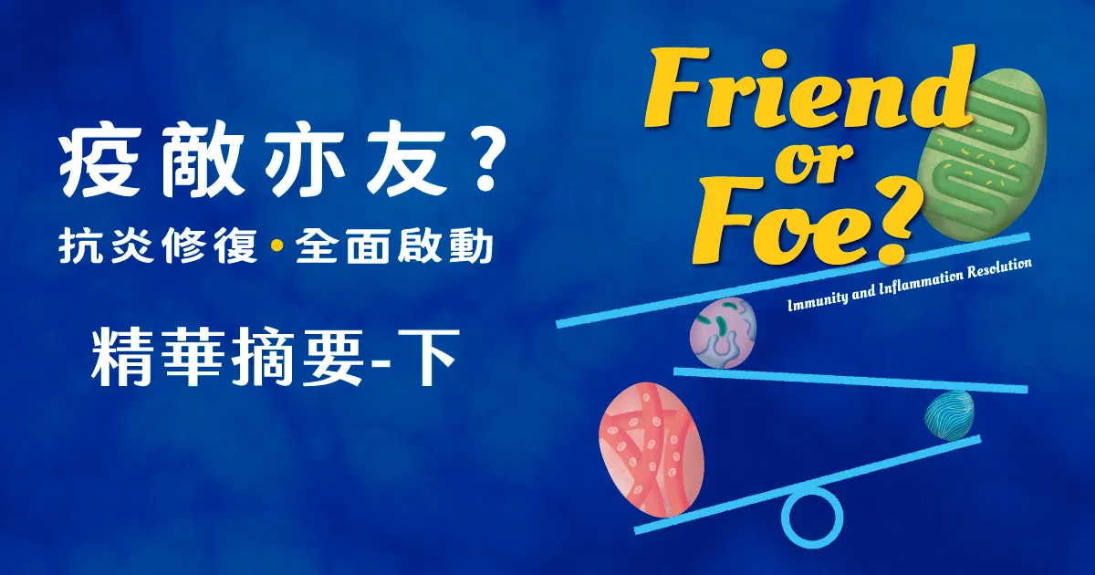 【疫敵亦友-抗炎修復全面啟動】精華摘要-下