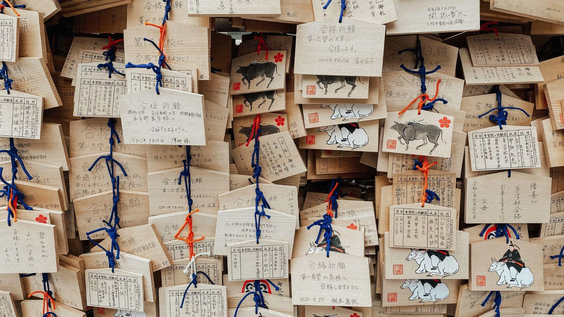 需求的本質是了解期望