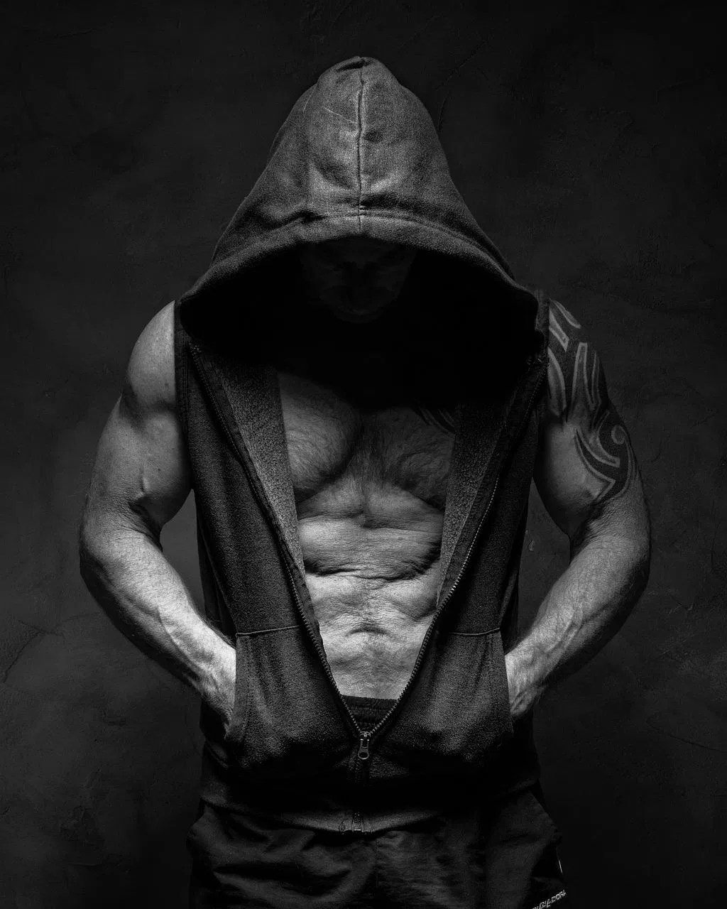 Net Anabolism: The Key to Effective Muscle Growth and Protein Dynamics