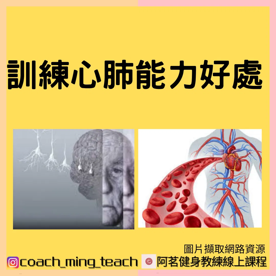 『訓練心肺能力的好處』