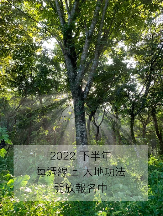 每週線上 大地功法/大地紮根