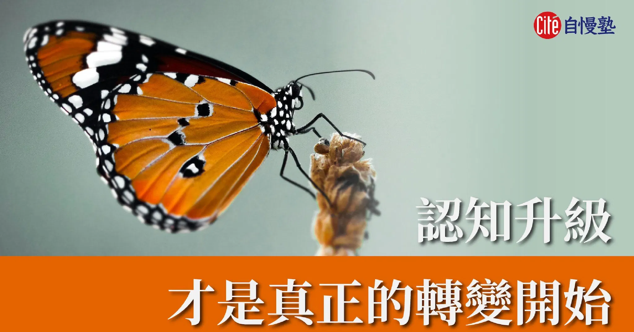從毛毛蟲到蝴蝶：認知升級，才是真正的轉變開始